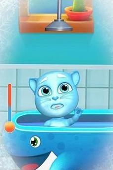 我的会说话的猫Tommy 截图0