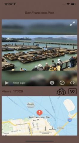 Live Camera Viewer