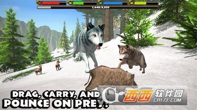 野狼模拟3D游戏 v2.1 安卓版