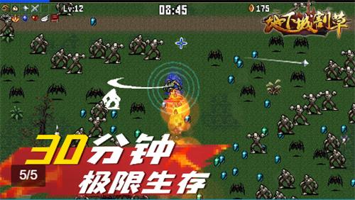 地下城割草截图1