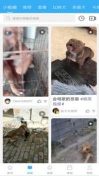 猛犬俱乐部截图1