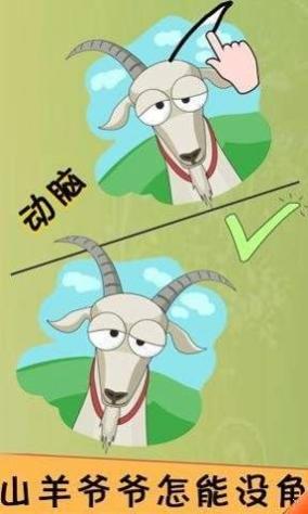 ndj.jpg