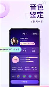 Flag截图2