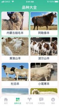养羊指南截图1