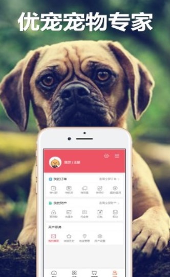 猫站截图1