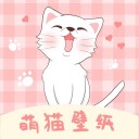  萌猫壁纸