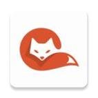 Cupfox茶杯狐