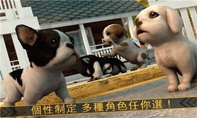 超级小汪大闯关  v1.0