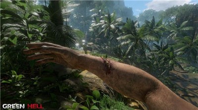 团团玩的野外生存 2023-05-15 12:50