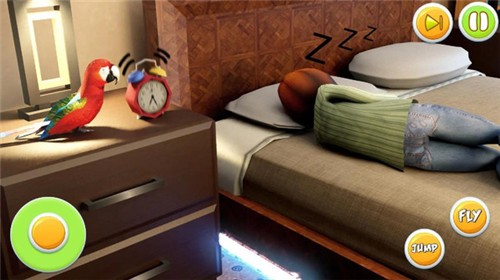 宠物鹦鹉模拟器 v1.0.0