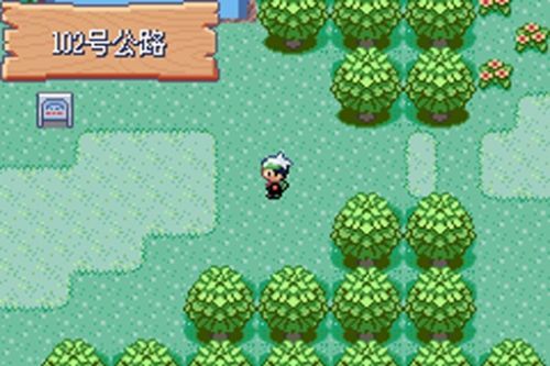 口袋妖怪究极绿宝石小智版R装甲金手指下载  v4.3.2