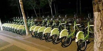 沈阳共享单车