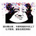 今年七夕取消通知图片
