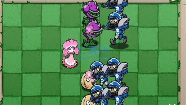 植物大战僵尸bt美人樱 v0.58.983