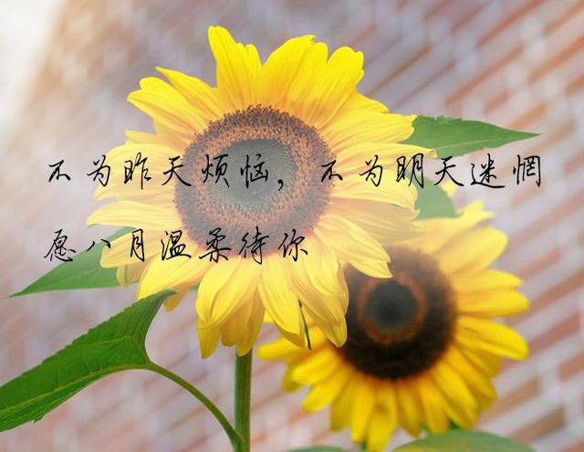 八月未必对你好图片.jpg
