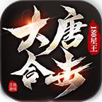 大唐星王合击