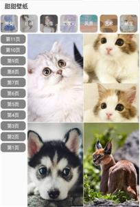 甜甜壁纸大全