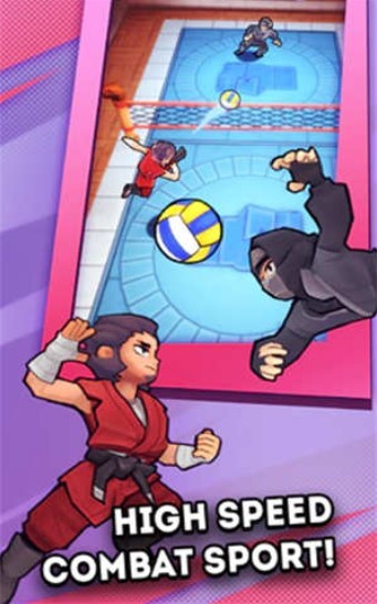 功夫排球  v0.2.115