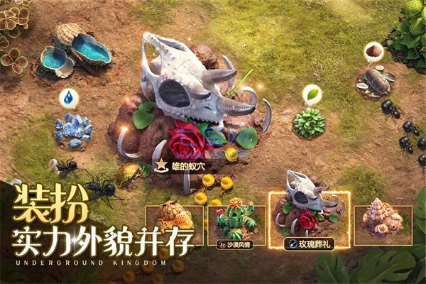 小小蚁国最新版截图3
