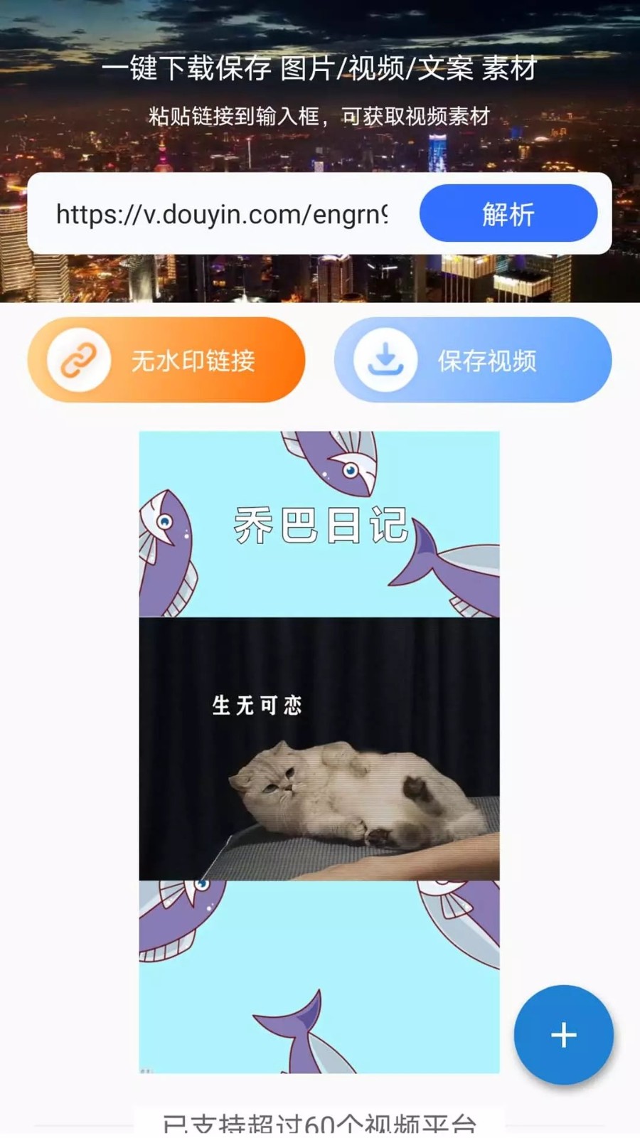 松鼠去水印.jpg
