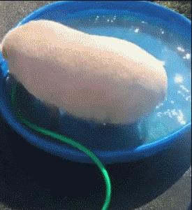 1610607442281975.gif