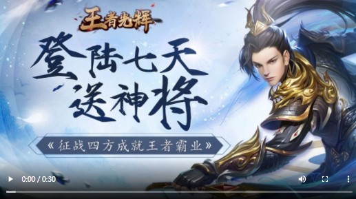 王者光辉官方版