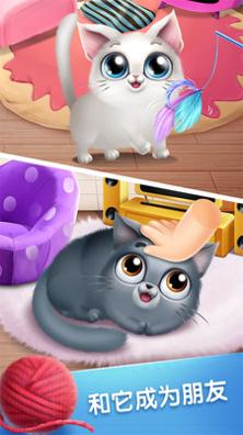 口袋猫咪 v3.0.5