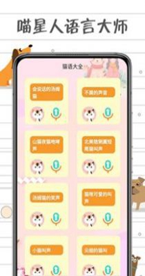 小猫交流器.jpg