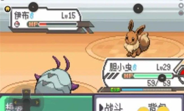 究极绿宝石5.5