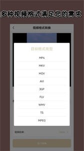 视频格式转换大师截图2