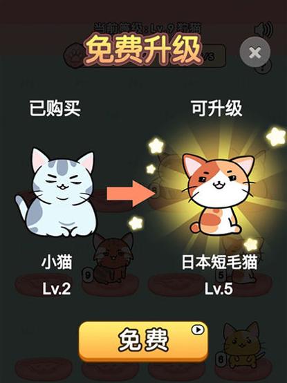 我的小猫截图2