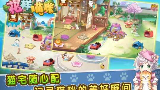 花样猫咪 礼包码2021 v3.0.5