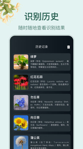 小园丁截图0