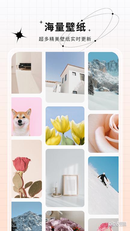 花猫壁纸免费 v1.1