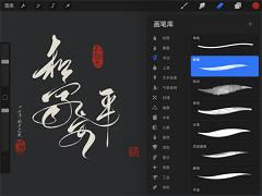 procreate 版本：v4.5.3