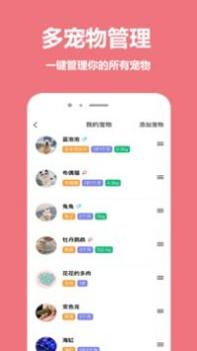 宠物王国截图0