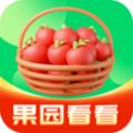果园看看红包版