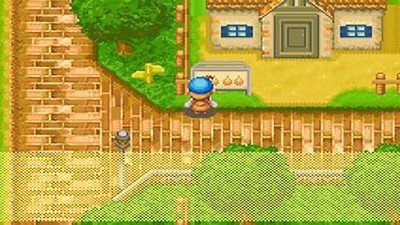 牧场物语矿石镇的伙伴们 版本：v1.6.2