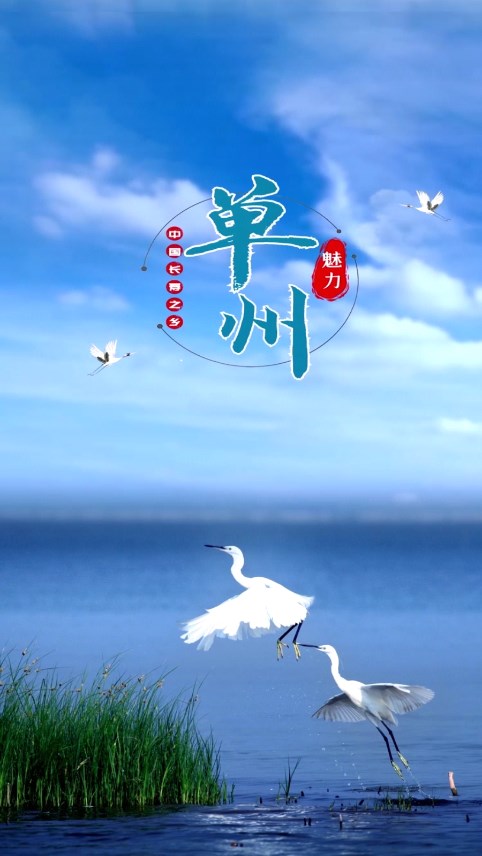 魅力单州截图3