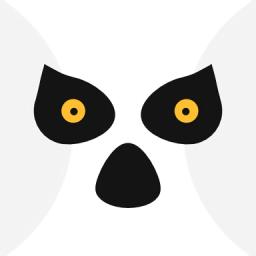 狐猴浏览器2022