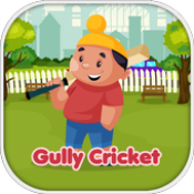小孩子打棒球Gully Cricket
