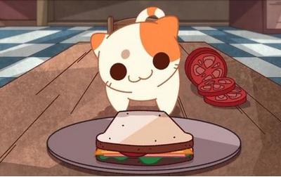 小偷猫咪 2024-06-25 15:08