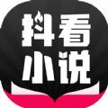 抖看小说