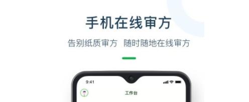 荷叶药师
