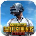 pubg手机版(国际服)官方下载安卓版 