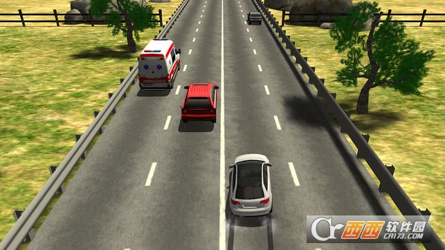 公路赛车手(Traffic Racer) v1.2.1e 安卓版
