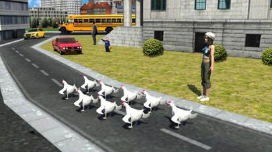 老母鸡过马路.jpg