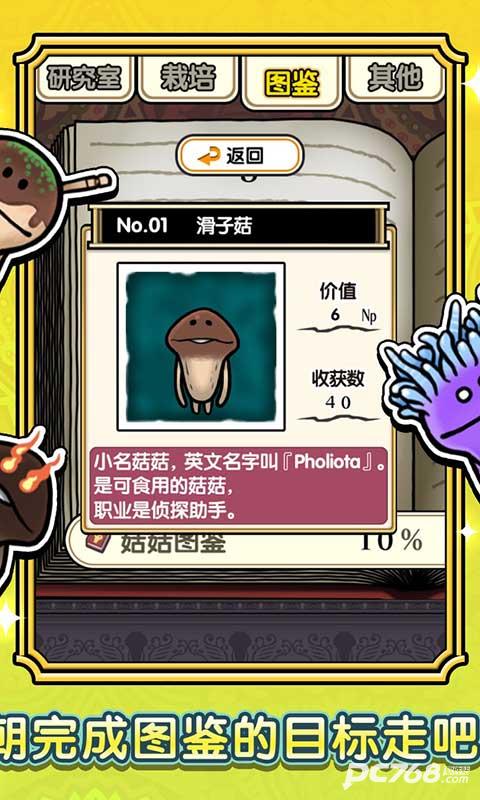蘑菇花园