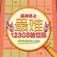 12306