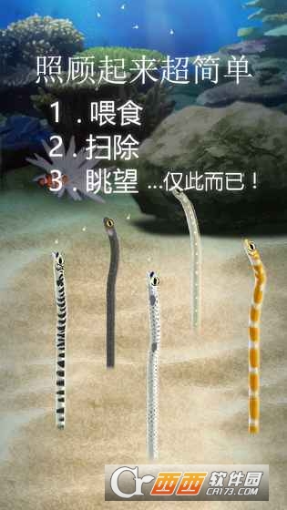 治愈的斑鳝花园Garden Eel 安卓版